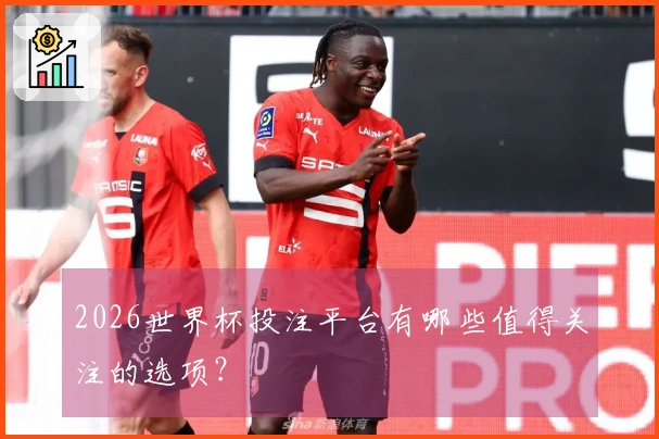 2026世界杯投注平台有哪些值得关注的选项？
