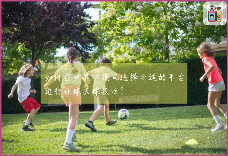 如何在世界杯期间选择合适的平台进行让球买球投注？
