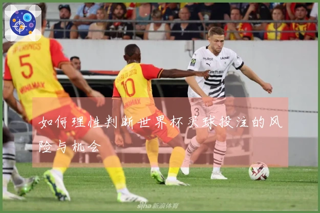 如何理性判断世界杯买球投注的风险与机会