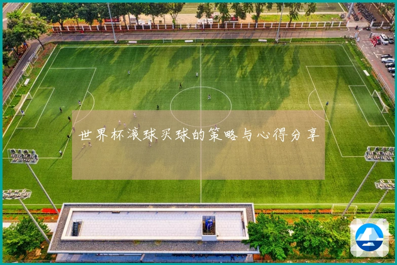 世界杯滚球买球的策略与心得分享
