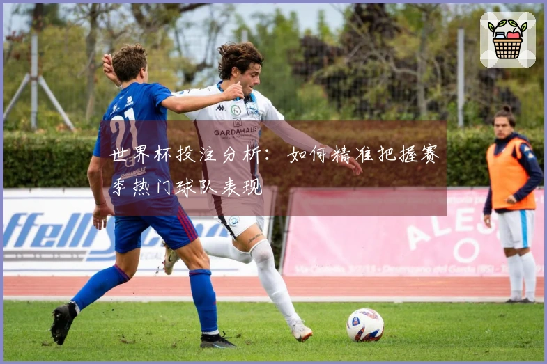 世界杯投注分析：如何精准把握赛季热门球队表现