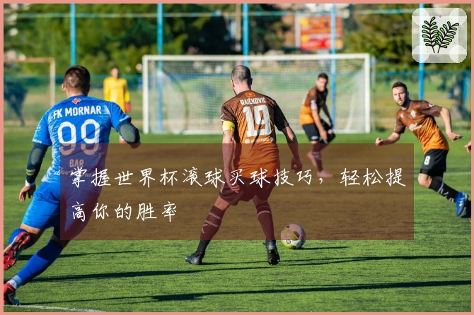 掌握世界杯滚球买球技巧，轻松提高你的胜率