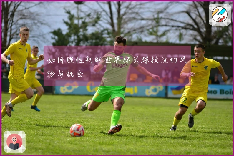 如何理性判断世界杯买球投注的风险与机会