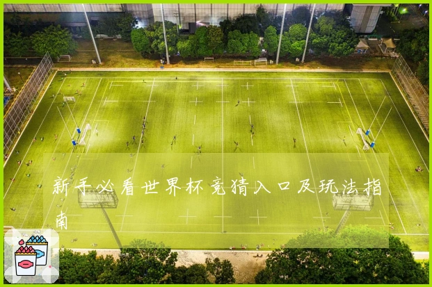 新手必看世界杯竞猜入口及玩法指南